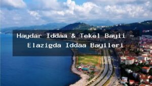 haydar-iddaa-tekel-bayii-elazigda-iddaa-bayileri