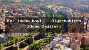 koz-iddaa-bayii-diyarbakirda-iddaa-bayileri