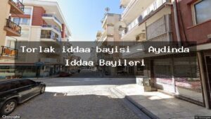 torlak-iddaa-bayisi-aydinda-iddaa-bayileri